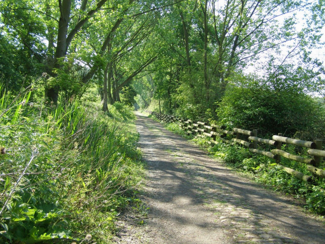 chemin-terril-3306