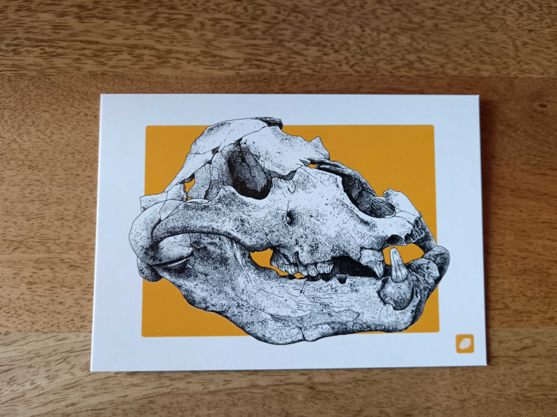 img-20250302-115608-3097